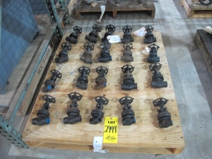 LOT PALLET W/ (20) ASSORTED VALVES (W-51) LOADING & HANDLING FEE $15-